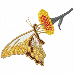 Butterfly Embroidery Design 6